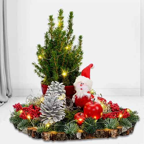 Santa Arrangement-Live Plants Delivery Chemnitz