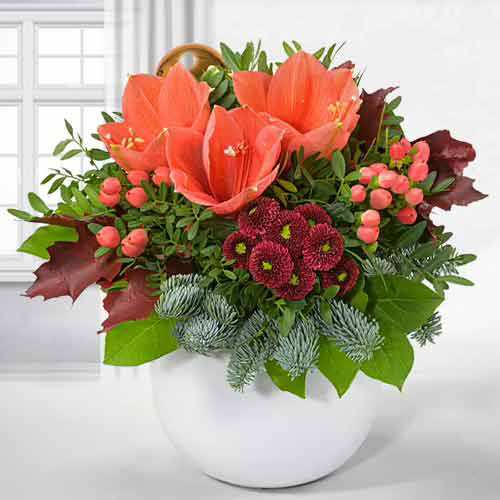 Winter Wishes Amaryllis Bouquet-Charming Winter Floral Bouquet