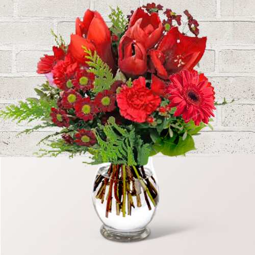 Amaryllis Holiday Charm-Fresh Christmas Flower Bouquets For Holiday