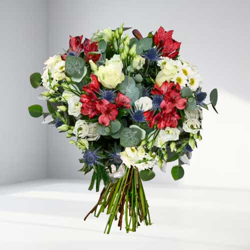 - Festive Red And White Christmas Flowers