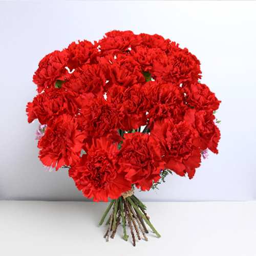 - Send Women's Day Flowers Online