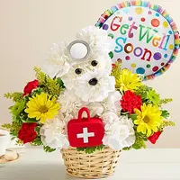 Send Get Well Gifts to Dortmund, Germany